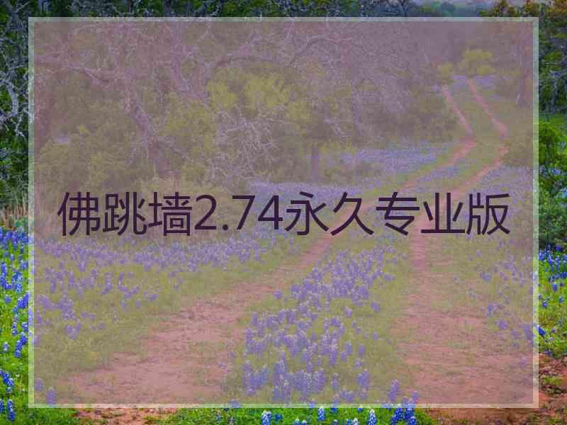 佛跳墙2.74永久专业版