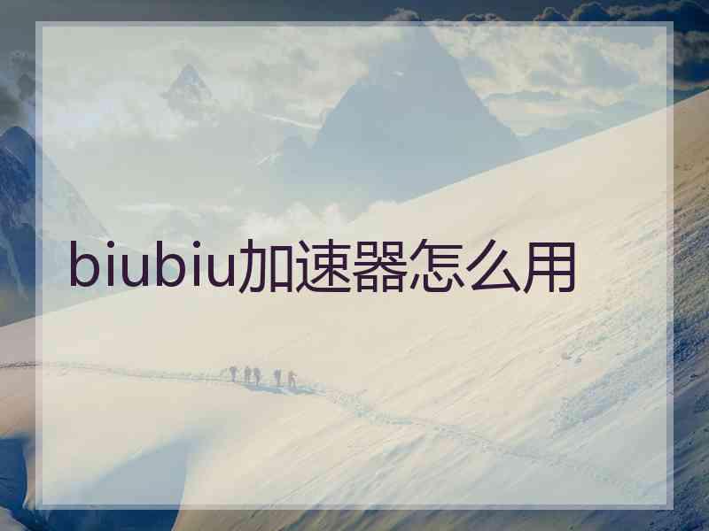 biubiu加速器怎么用