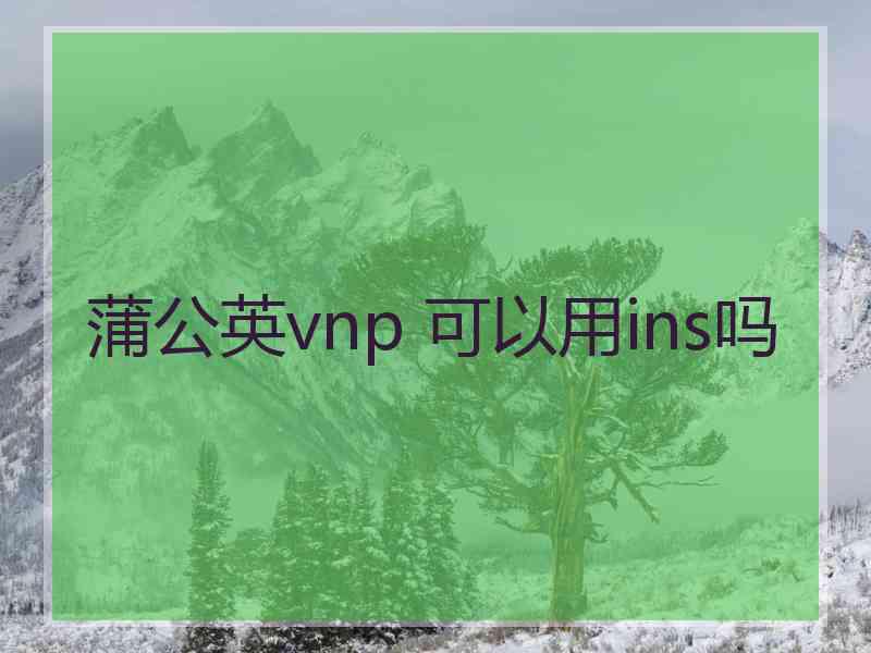 蒲公英vnp 可以用ins吗