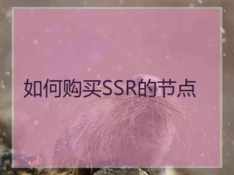 如何购买SSR的节点