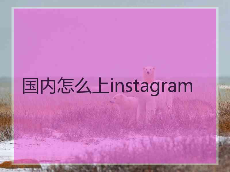 国内怎么上instagram