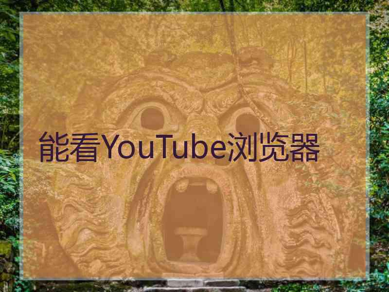 能看YouTube浏览器