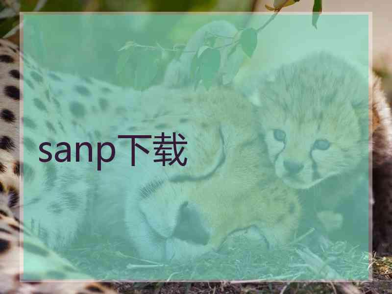 sanp下载