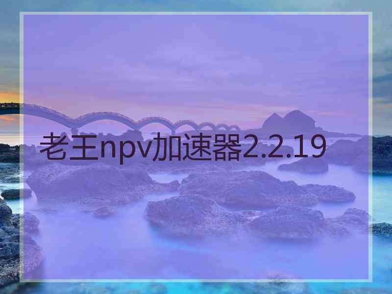 老王npv加速器2.2.19