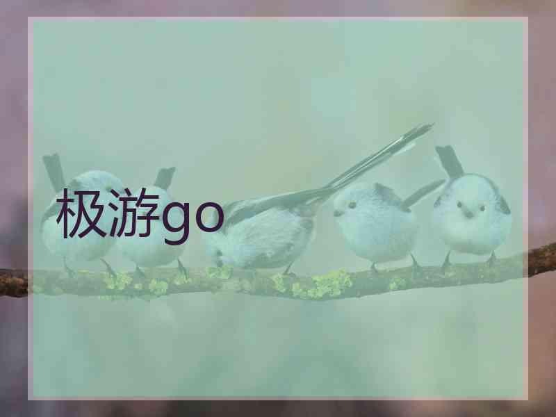 极游go