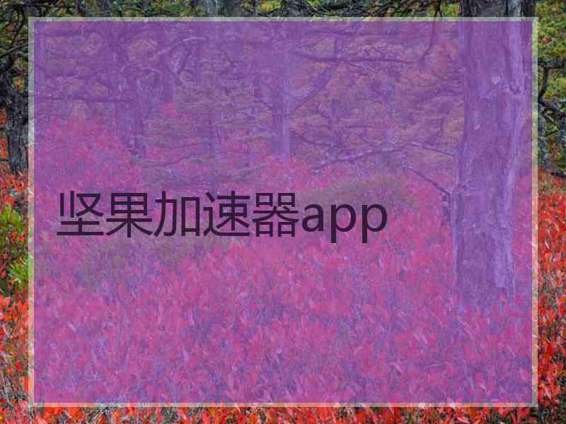 坚果加速器app