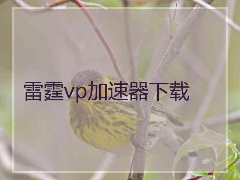 雷霆vp加速器下载