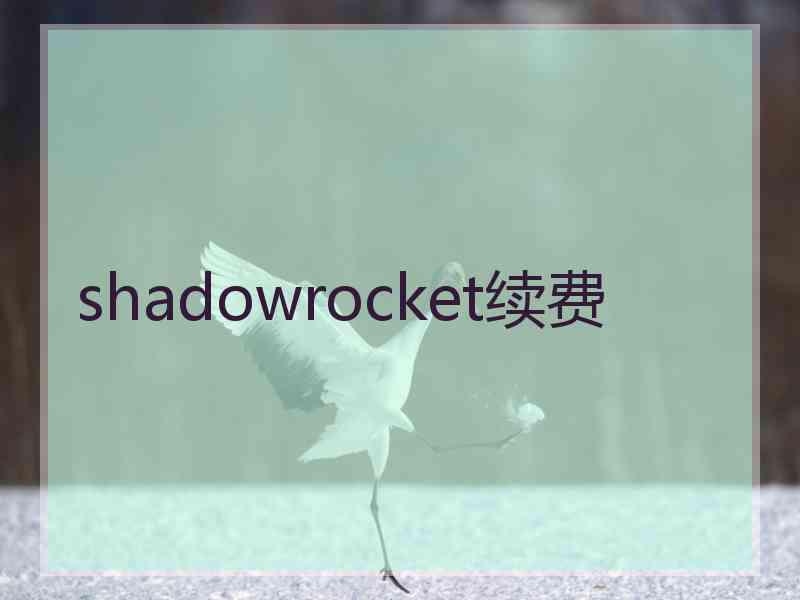 shadowrocket续费