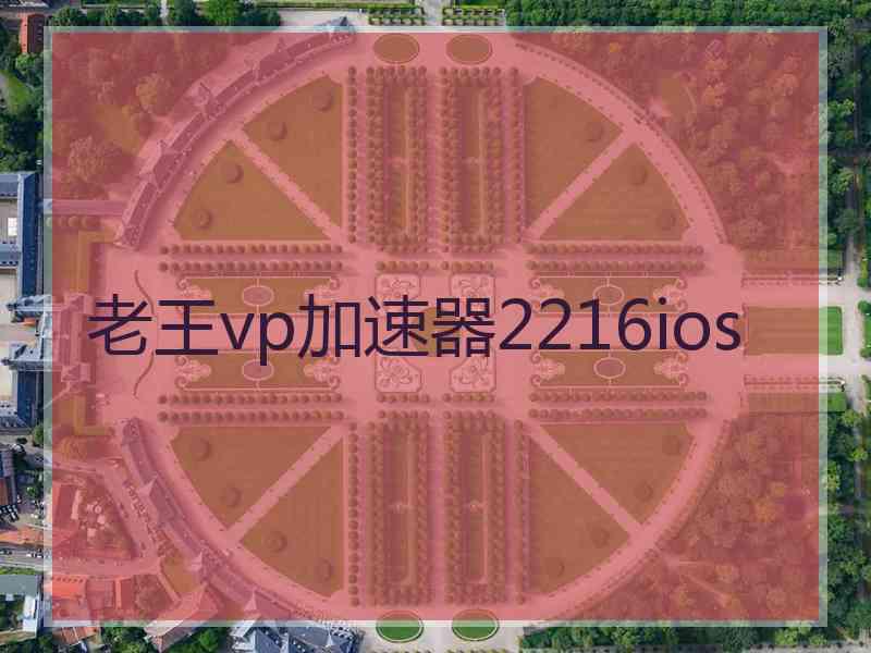 老王vp加速器2216ios