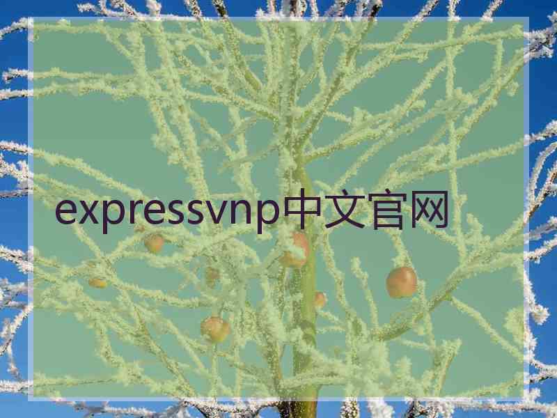 expressvnp中文官网