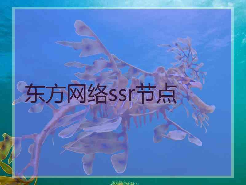 东方网络ssr节点