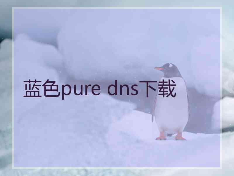 蓝色pure dns下载