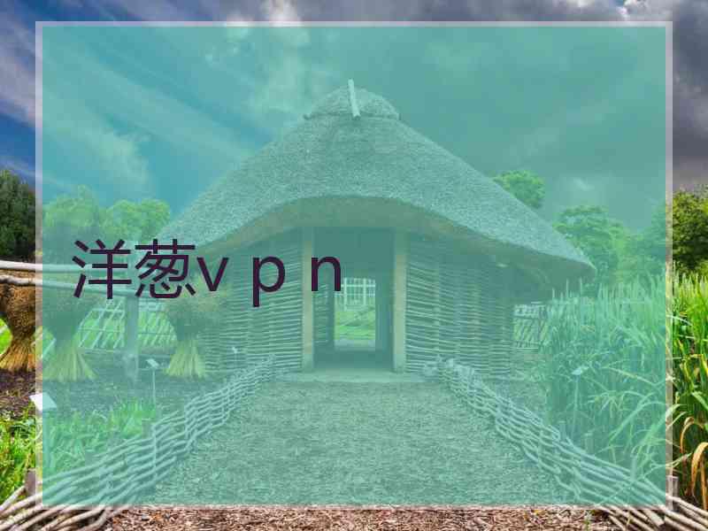 洋葱v p n