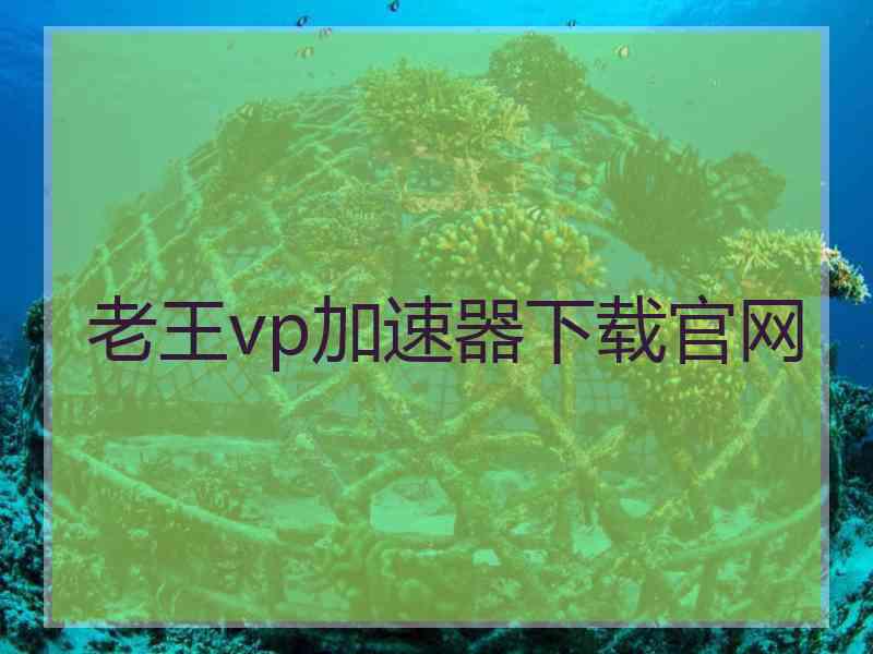 老王vp加速器下载官网