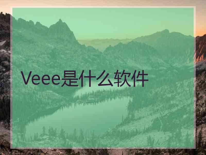 Veee是什么软件