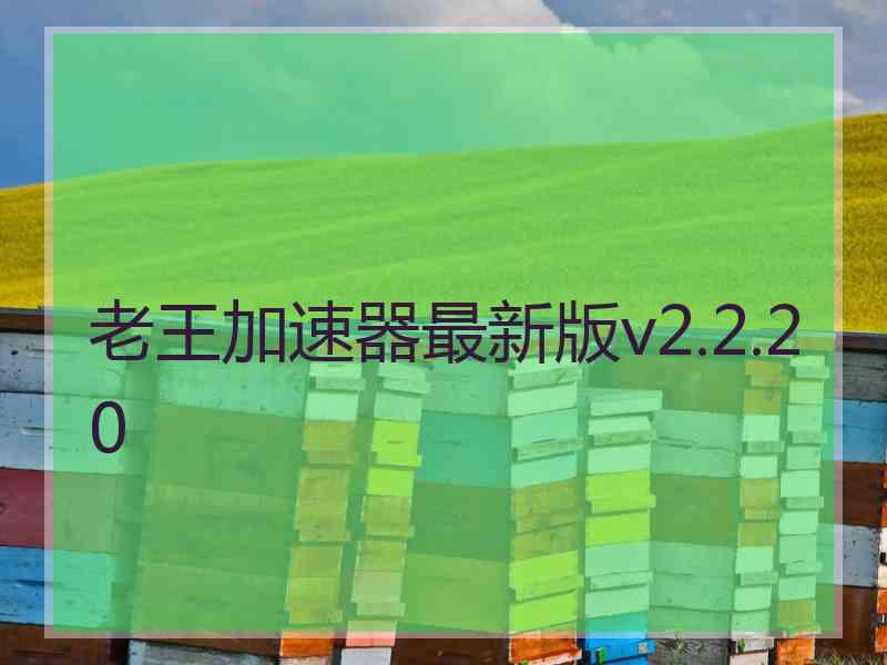 老王加速器最新版v2.2.20