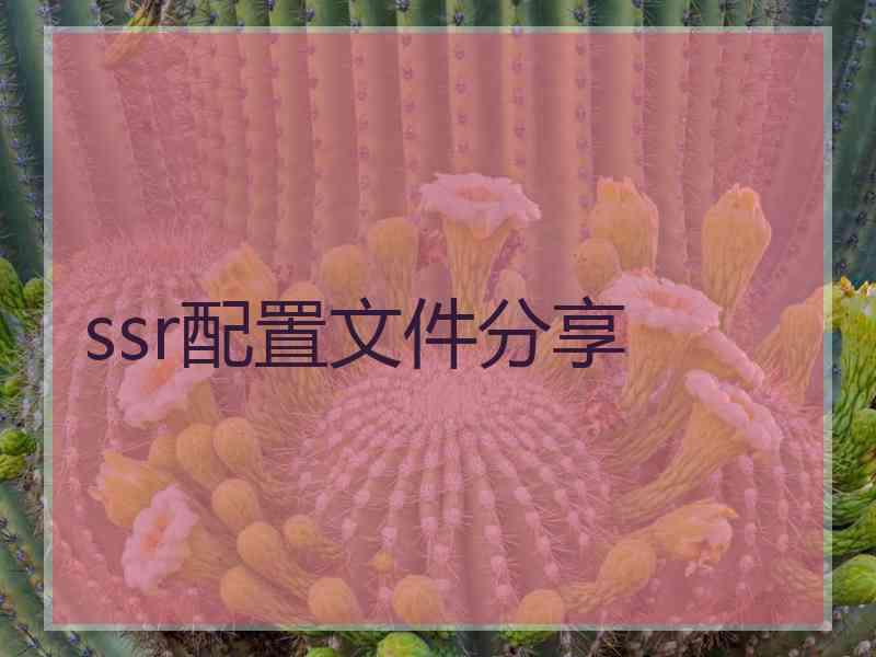 ssr配置文件分享