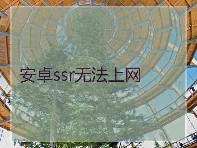 安卓ssr无法上网